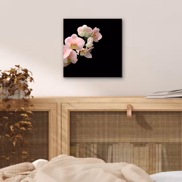 Aluminium schilderij - Orchidee - Bloemen - Roze - Stilleven - Flora — 4