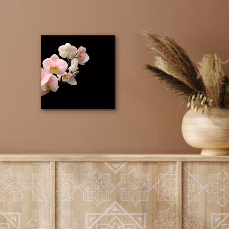 Aluminium schilderij - Orchidee - Bloemen - Roze - Stilleven - Flora — 5