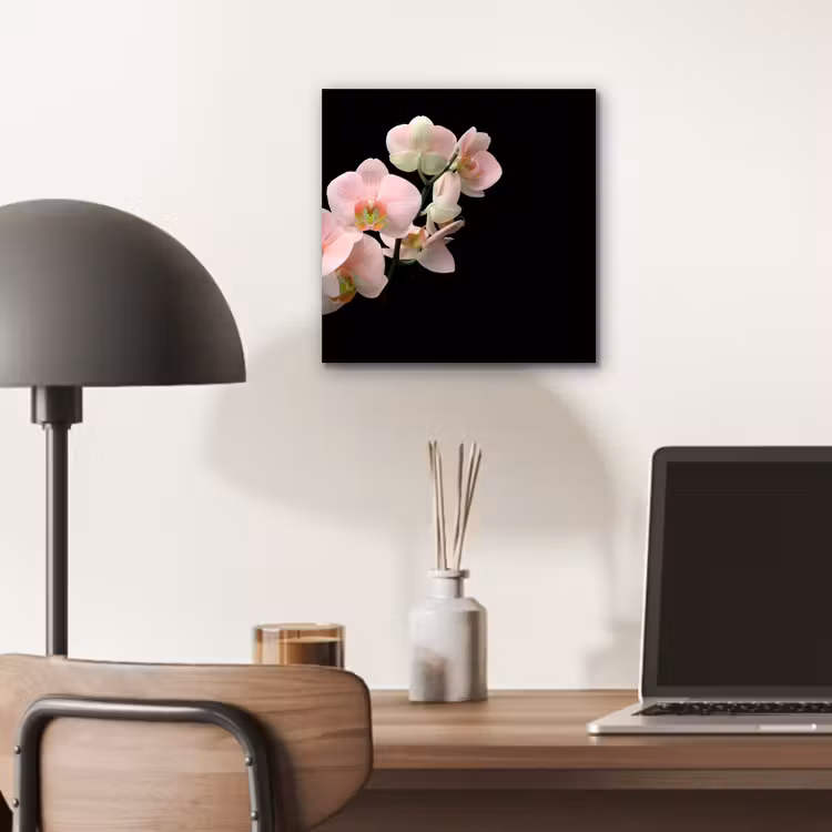 Aluminium schilderij - Orchidee - Bloemen - Roze - Stilleven - Flora — 6