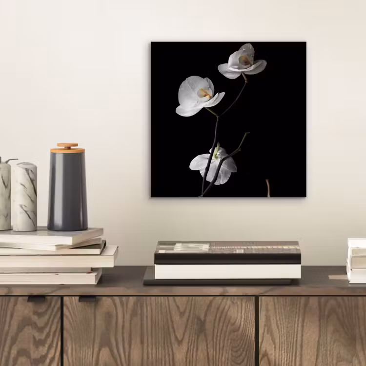 Aluminium schilderij - Orchidee - Bloemen - Zwart - Wit - Stilleven — 2