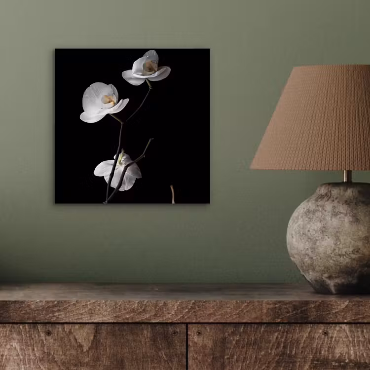 Aluminium schilderij - Orchidee - Bloemen - Zwart - Wit - Stilleven — 3