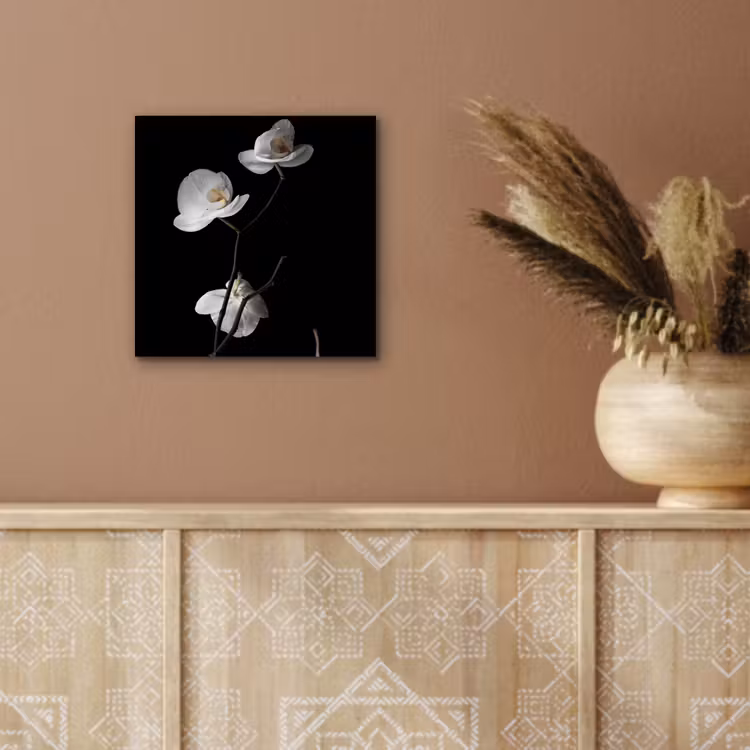 Aluminium schilderij - Orchidee - Bloemen - Zwart - Wit - Stilleven — 5