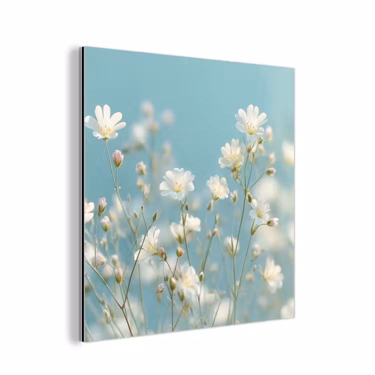 Aluminium schilderij - Stengels - Bloemen - Lucht - Wit — 1