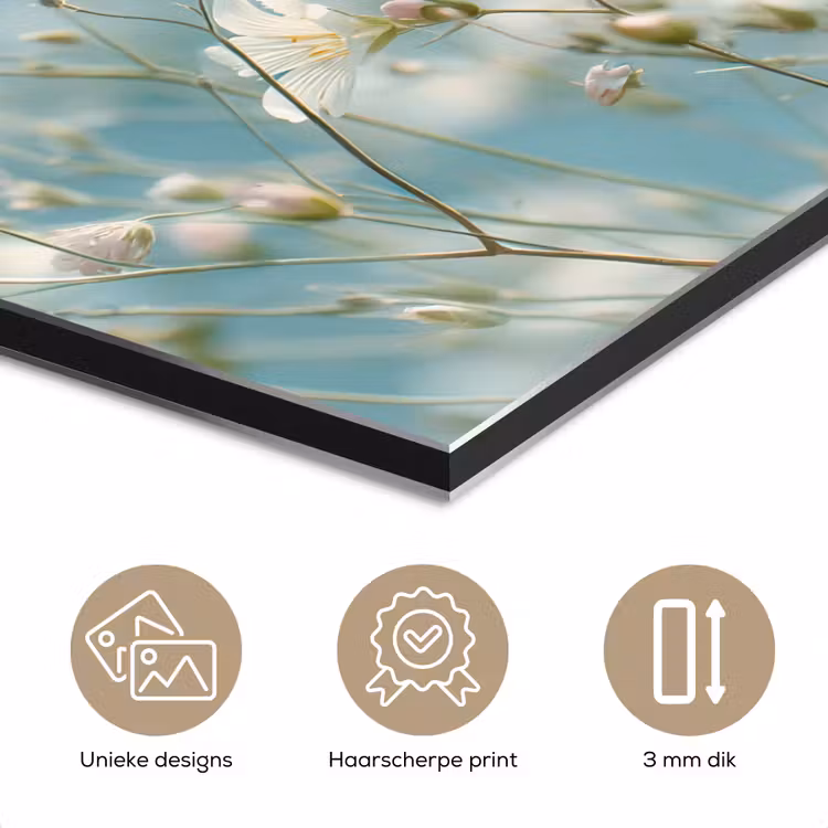 Aluminium schilderij - Stengels - Bloemen - Lucht - Wit — 7