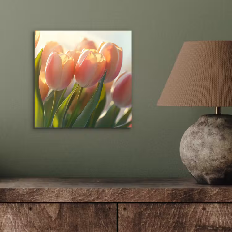 Aluminium schilderij - Tulpen - Roze - Zonnestralen — 3