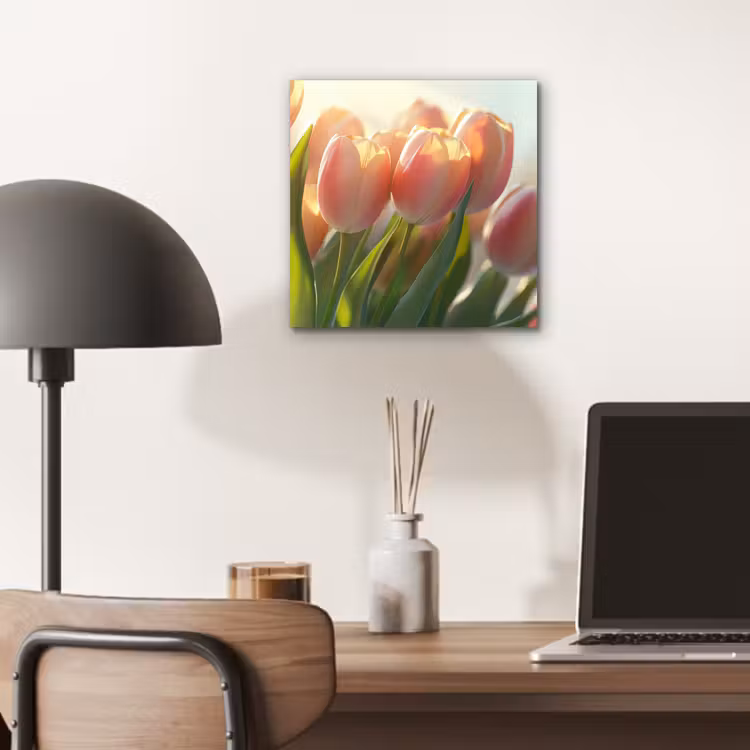 Aluminium schilderij - Tulpen - Roze - Zonnestralen — 6