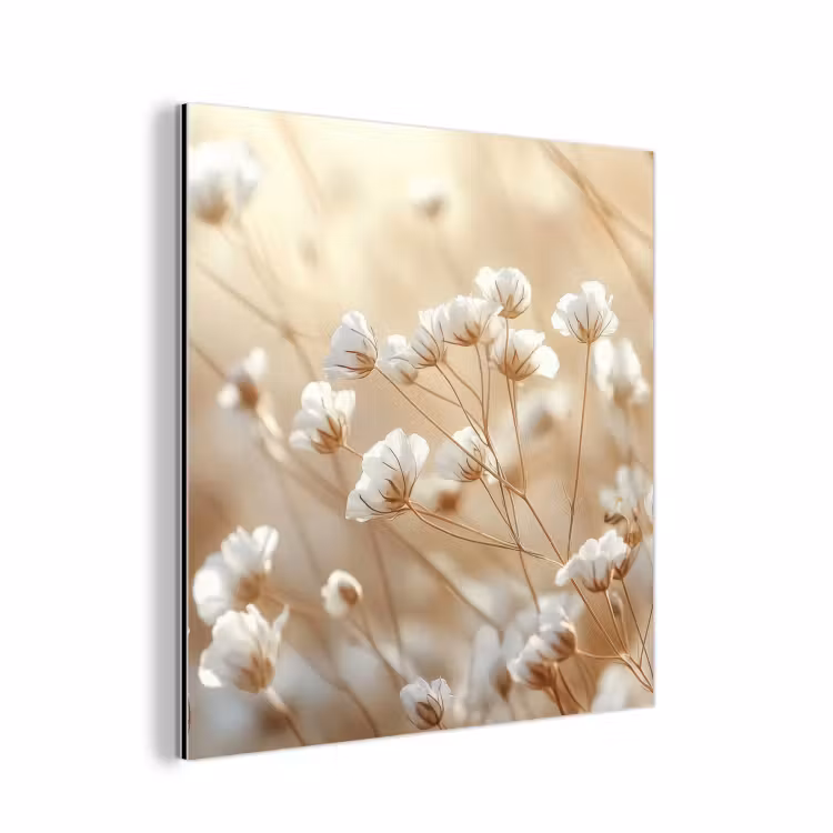 Aluminium schilderij - Wilde - Bloemen - Wit — 1