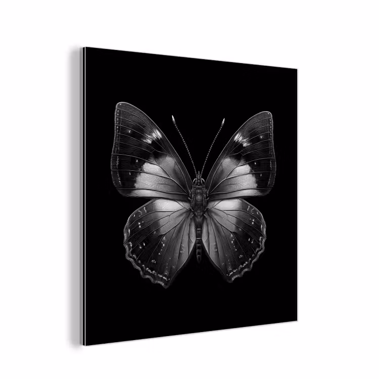 Aluminium schilderij - Vlinder - Grijs - Mysterieus — 1
