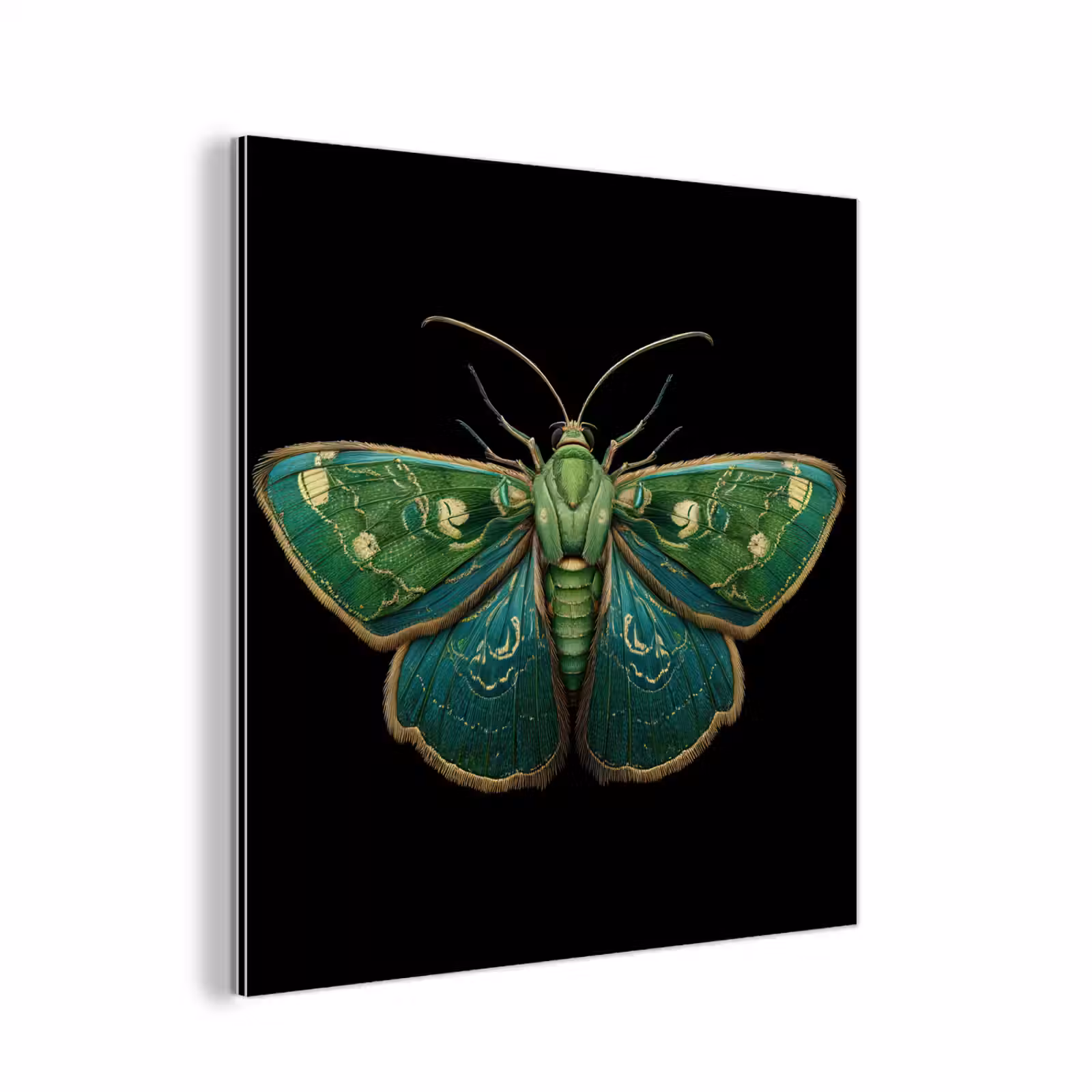 Aluminium schilderij - Mot - Levendig - Groen — 1