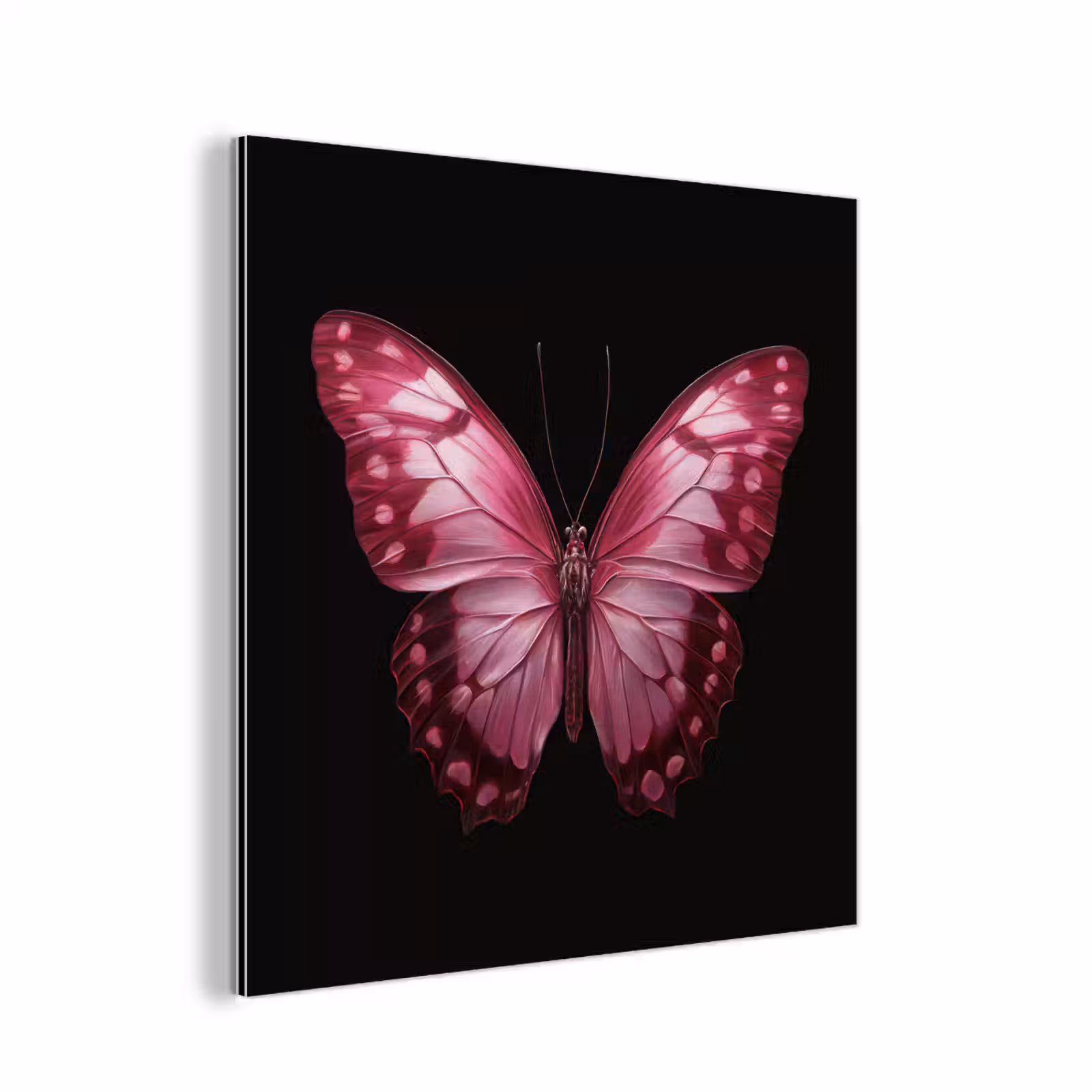 Aluminium schilderij - Vlinder - Fuchsia - Grafisch — 1
