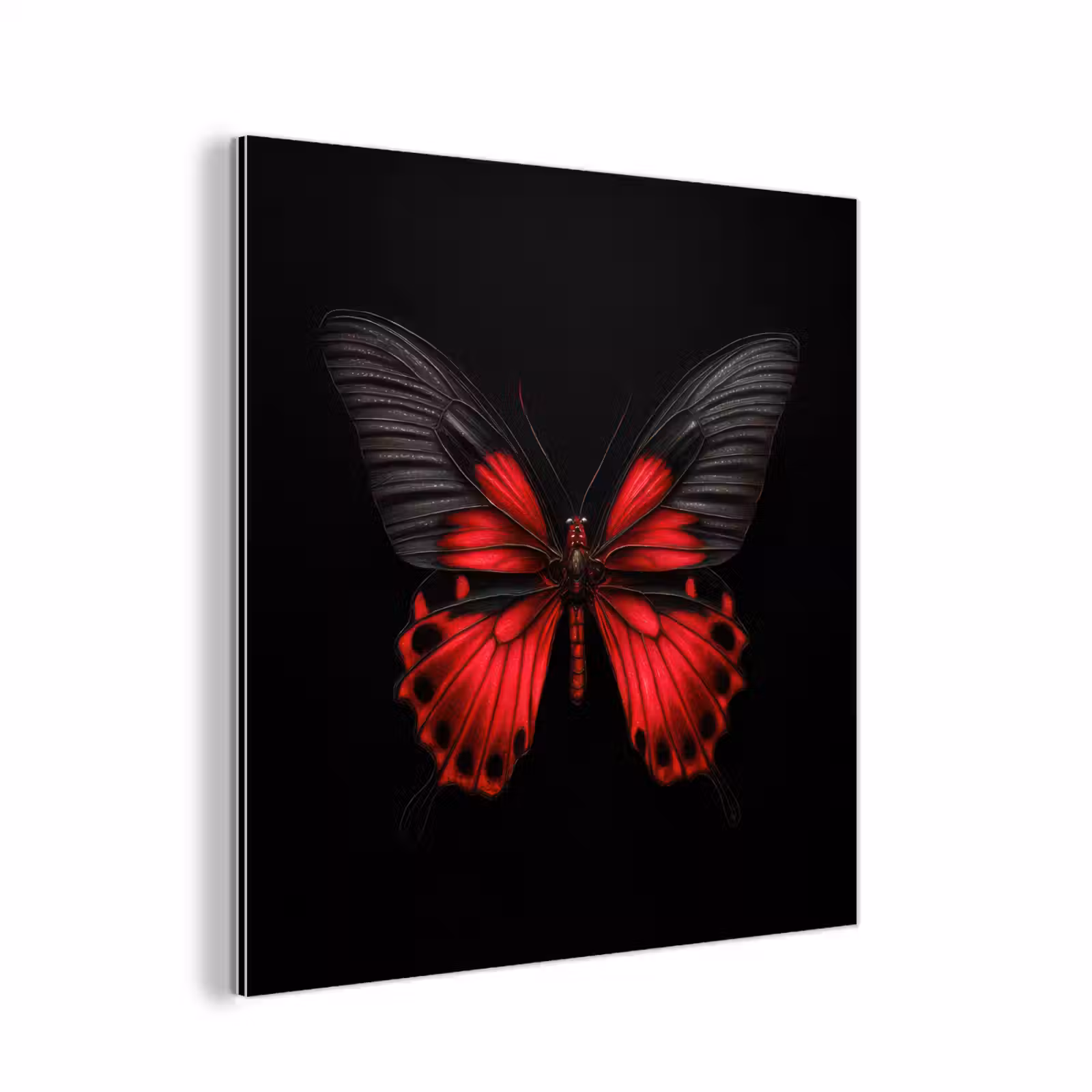 Aluminium schilderij - Vlinder - Rood - Contrast — 1
