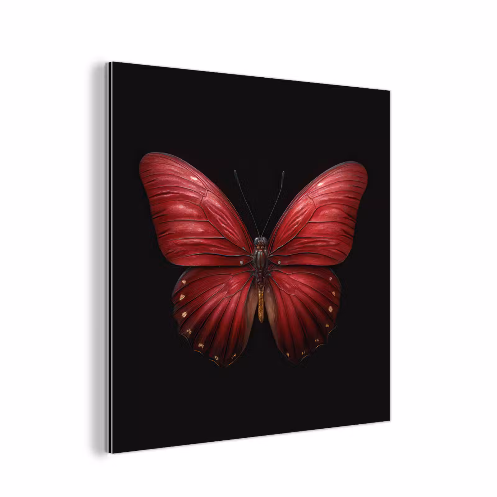Aluminium schilderij - Vlinder - Rood - Minimalistisch — 1