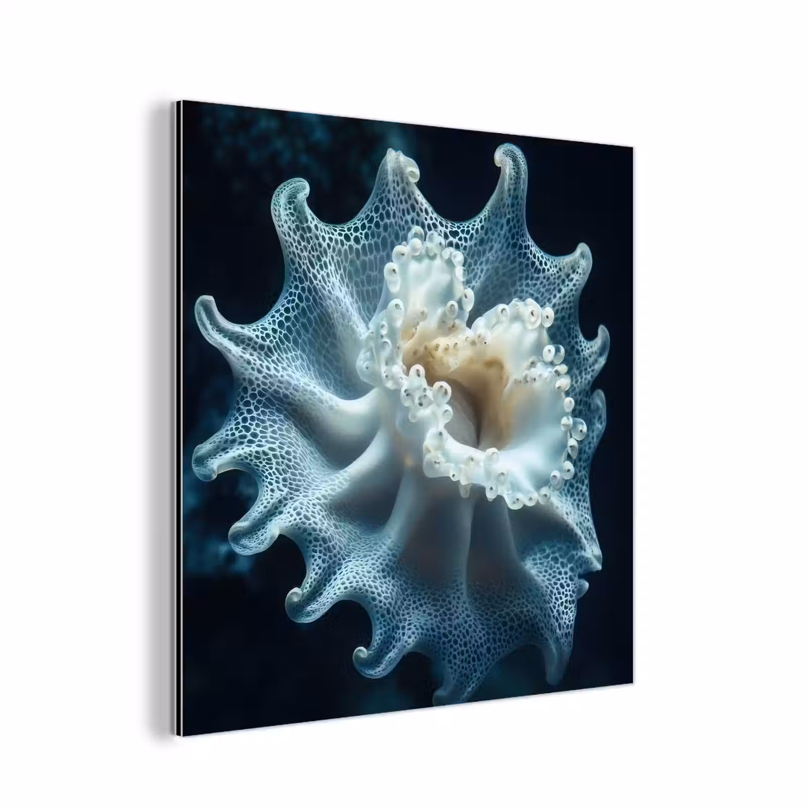 Aluminium schilderij - Zeewezen - Wit - Golven - Water — 1