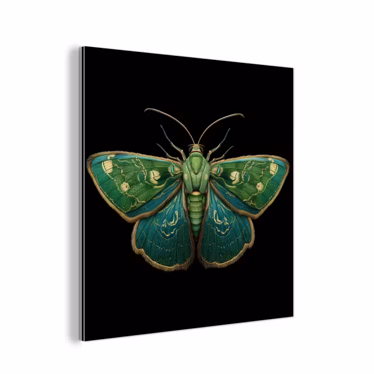 Aluminium schilderij - Mot - Levendig - Groen — 1