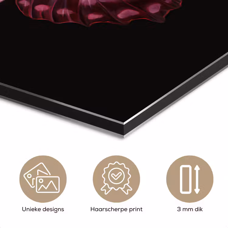 Aluminium schilderij - Vlinder - Fuchsia - Grafisch — 7