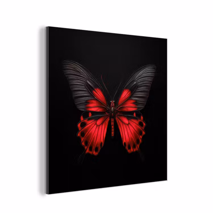 Aluminium schilderij - Vlinder - Rood - Contrast — 1