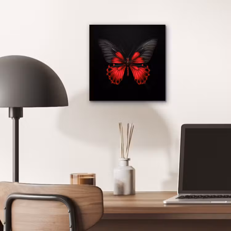 Aluminium schilderij - Vlinder - Rood - Contrast — 6