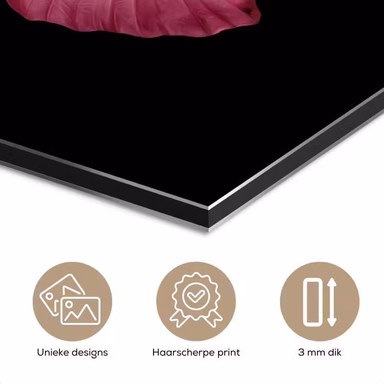 Aluminium schilderij - Vlinder - roze - Elegant — 7