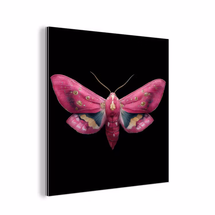 Aluminium schilderij - Vlinder - Roze - Nachtvlinder — 1