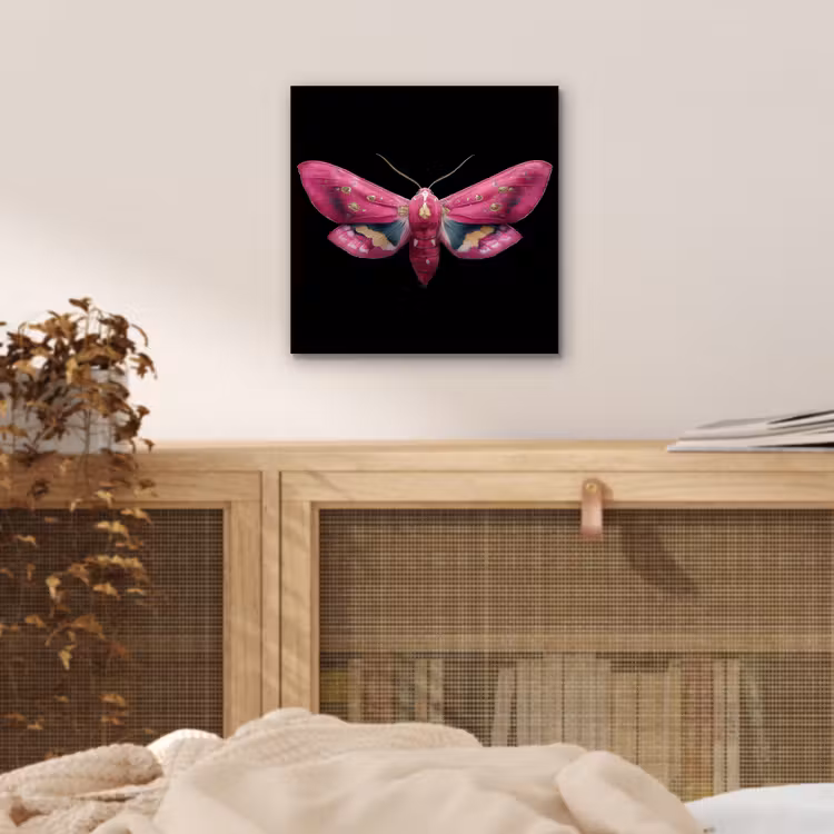 Aluminium schilderij - Vlinder - Roze - Nachtvlinder — 4