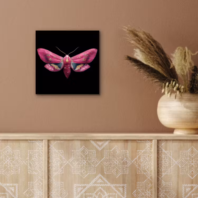 Aluminium schilderij - Vlinder - Roze - Nachtvlinder — 5