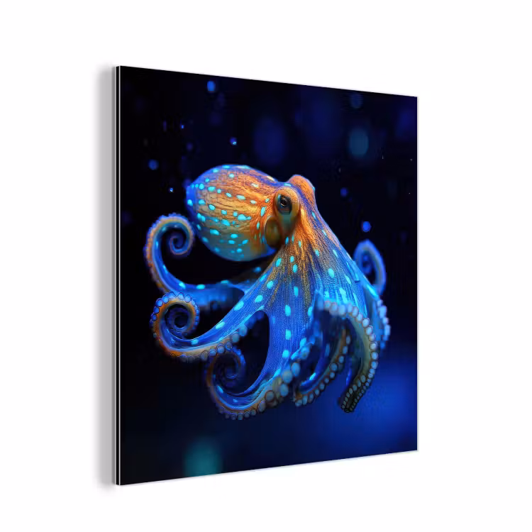 Aluminium schilderij - Octopus - Stippen - Blauw - Zee — 1