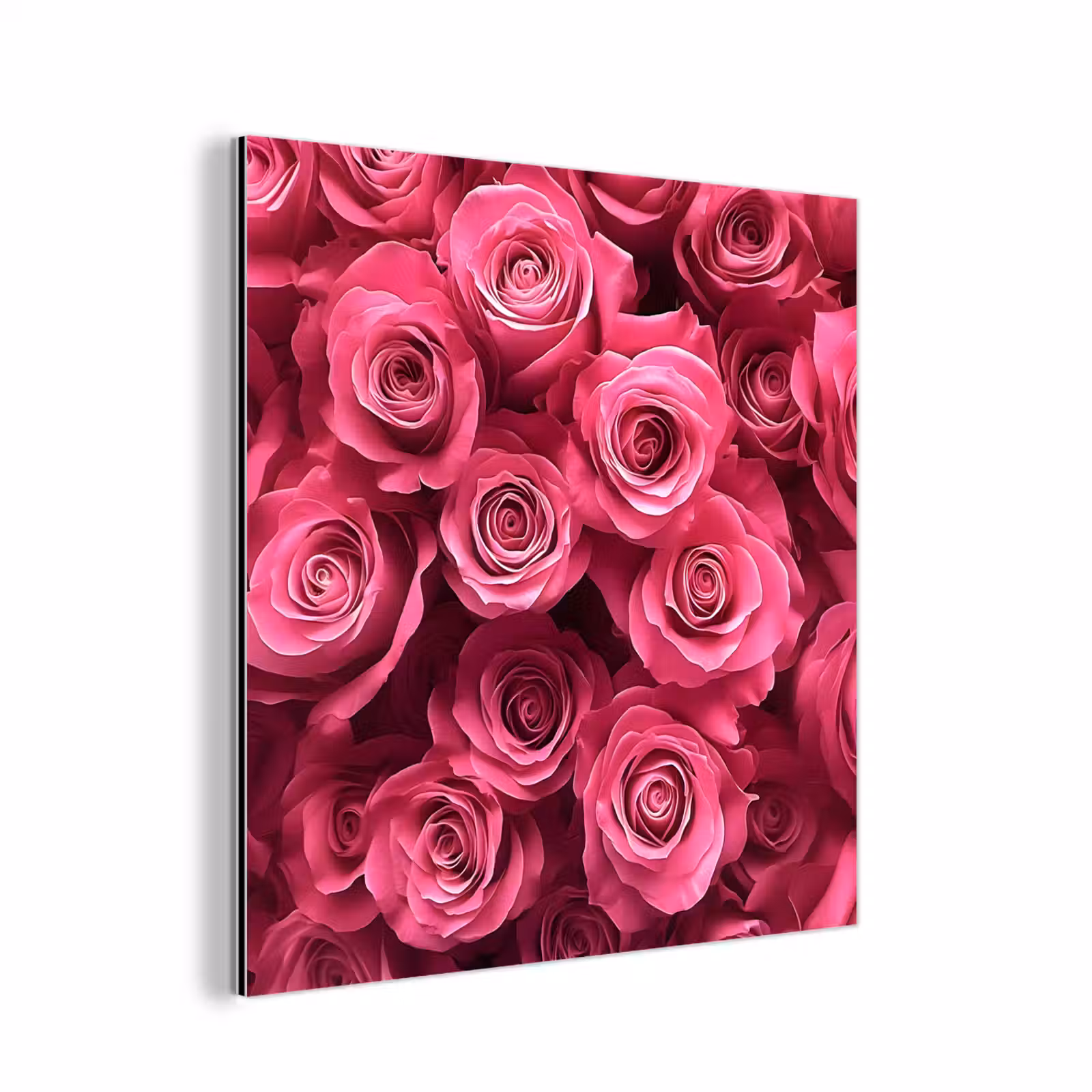 Aluminium schilderij - Rozen - Pink - Bloem — 1