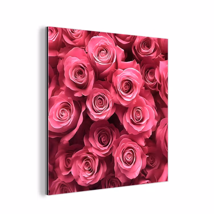 Aluminium schilderij - Rozen - Pink - Bloem — 1