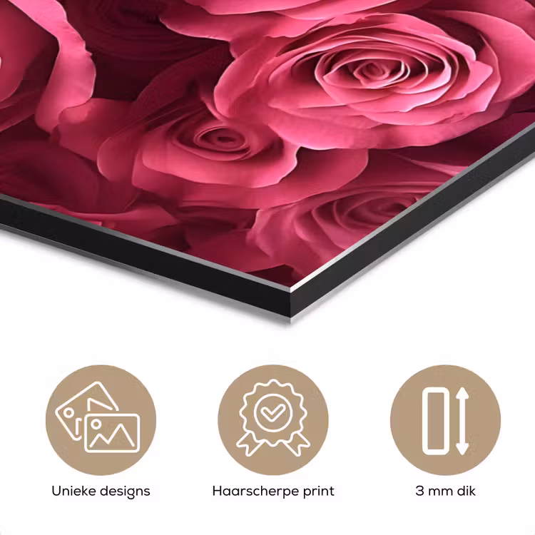 Aluminium schilderij - Rozen - Pink - Bloem — 7
