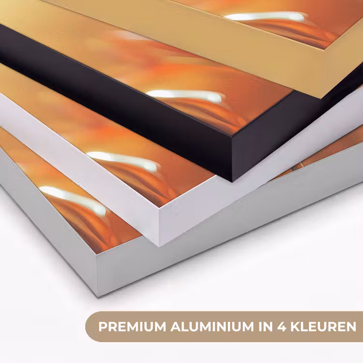 Art Frame - Glazen - Bloem - Zonlicht — 5