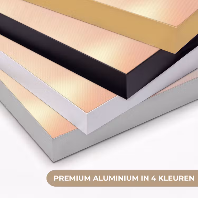 Art Frame - Glazen - Bloem - Roze — 5