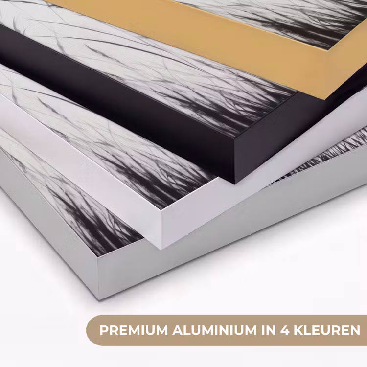 Art Frame - Kraanvogels - Gras - Hartvorm - Zwart — 5