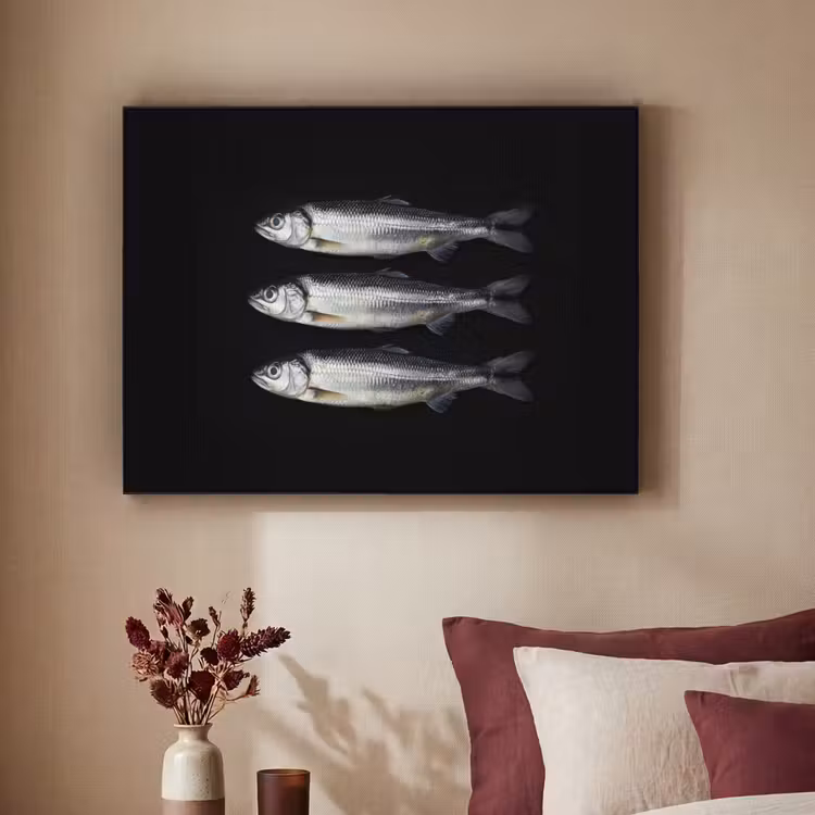 Art Frame - Haring - Vissen - Zwart — 2