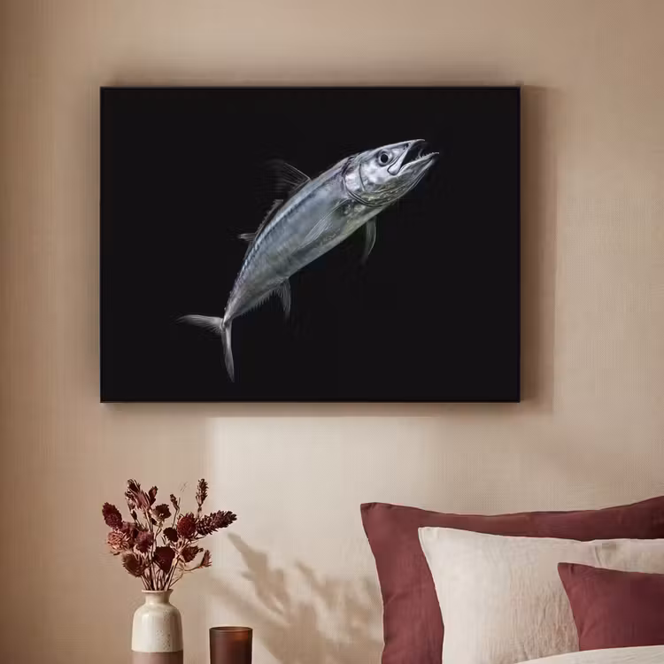 Art Frame - Makreel - Vis - Zwart — 2