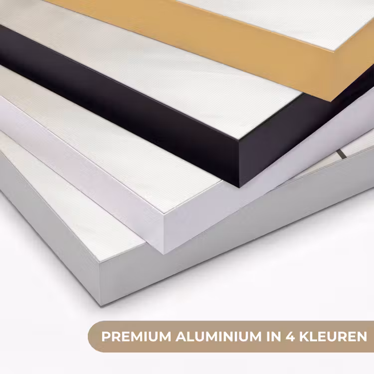 Art Frame - Bloem - Beige - Verf - Schaduw — 5