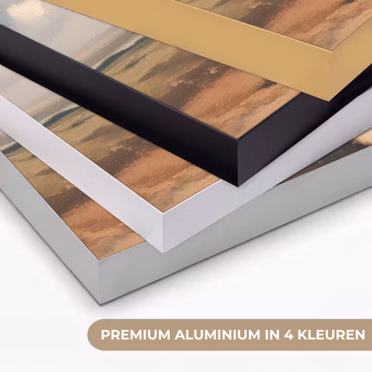Art Frame - Klif - Zee - Boom — 5