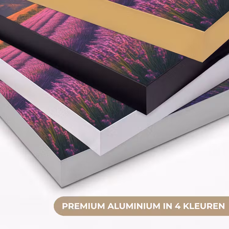 Art Frame - Lavendelveld - Zonsondergang - Paars — 5