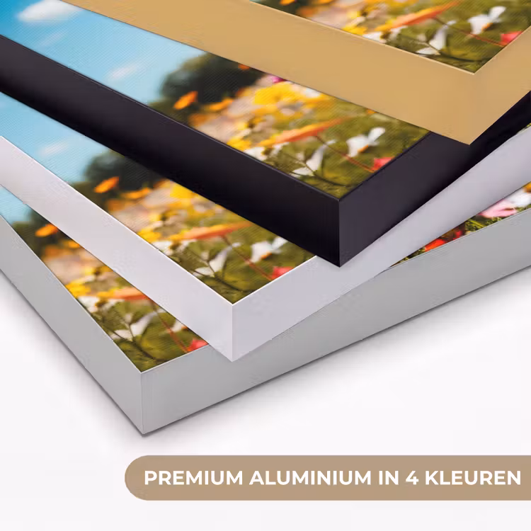 Art Frame - Bloemenweide - Blauw - Lucht - Kleuren — 5