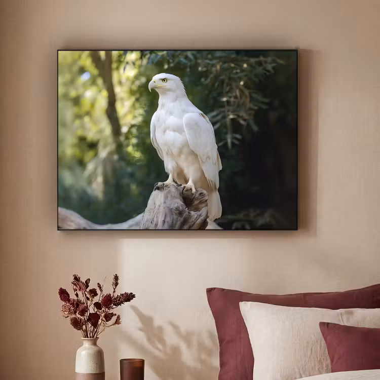 Art Frame - Arend - Hout - Wit - Planten — 2