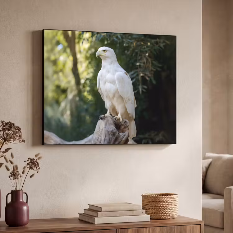 Art Frame - Arend - Hout - Wit - Planten — 4