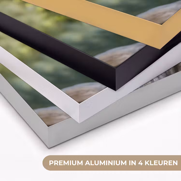 Art Frame - Arend - Hout - Wit - Planten — 5