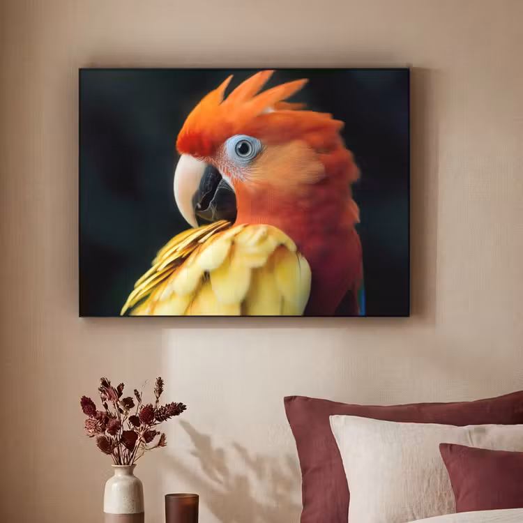 Art Frame - Close-up - Papegaai - Veren - Oranje — 2
