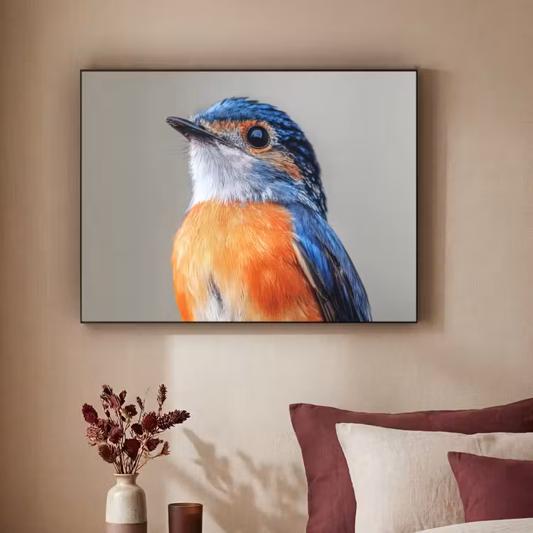 Art Frame - Kleurrijk - Vogeltje - Veren - Blauw — 2