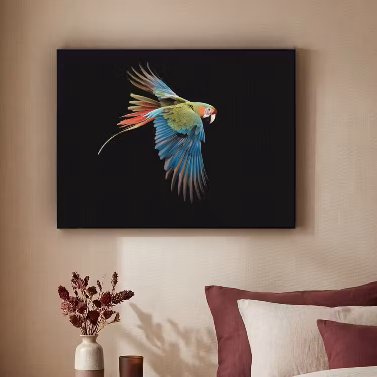 Art Frame - Papegaai - Kleurrijk - Vleugels - Sierlijk — 2