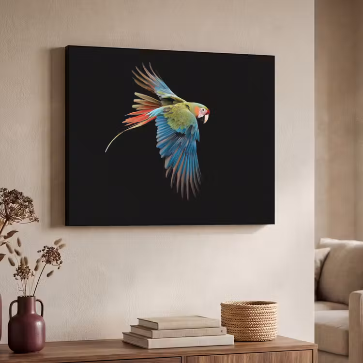 Art Frame - Papegaai - Kleurrijk - Vleugels - Sierlijk — 4