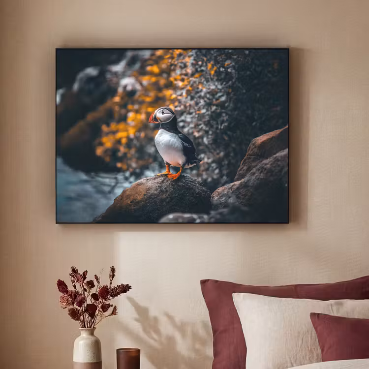 Art Frame - Papegaai - Vogel - Rots - Wit — 2