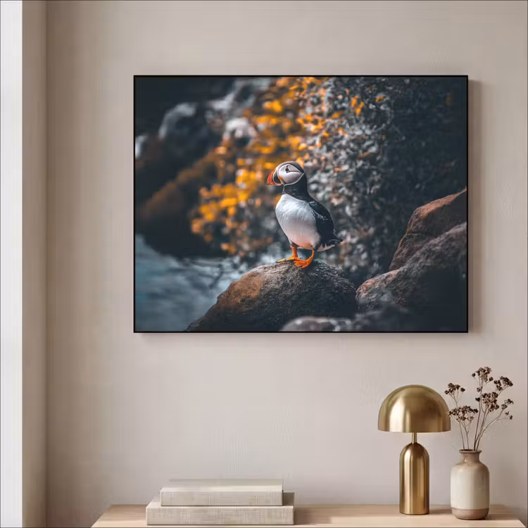 Art Frame - Papegaai - Vogel - Rots - Wit — 3