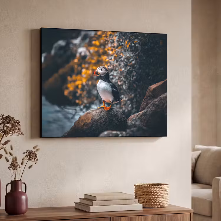 Art Frame - Papegaai - Vogel - Rots - Wit — 4