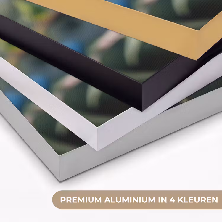 Art Frame - Blauwe bessen - Dauwdruppels - Natuurlijk licht — 5