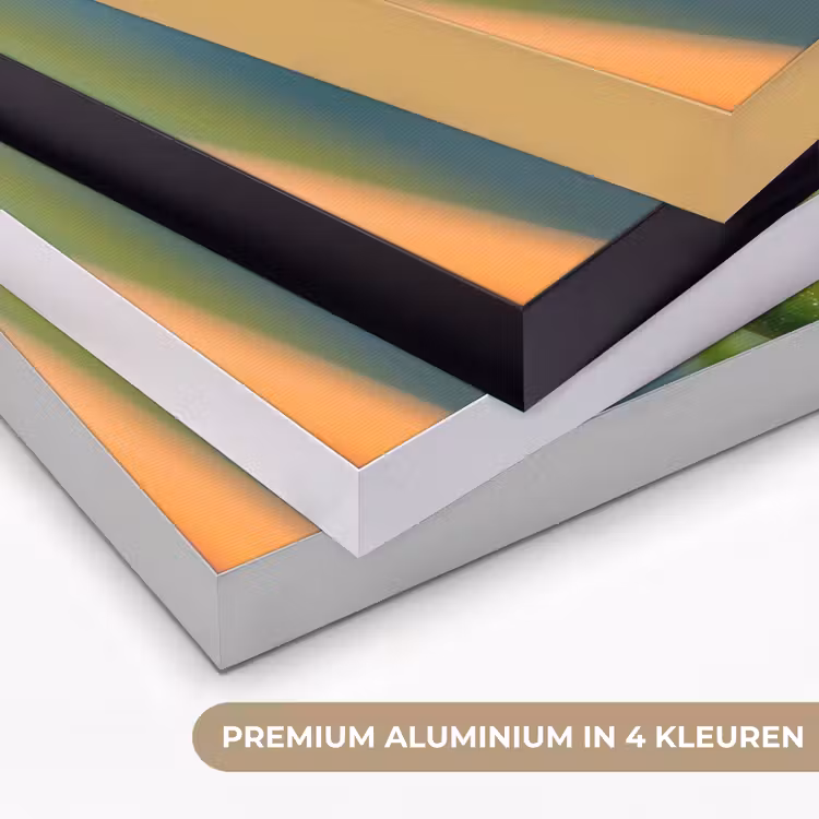 Art Frame - Kleurrijke kikker - Groene stengel - Alert — 5